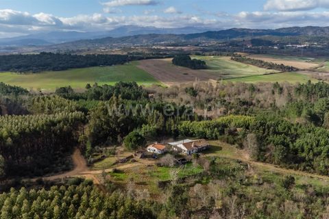 Tomt i Fundao, Castelo Branco, Fundao - € 27 500 | Ref: 255260027 - foto 17