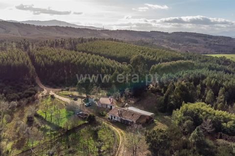 Tomt i Fundao, Castelo Branco, Fundao - € 27 500 | Ref: 255260027 - foto 18