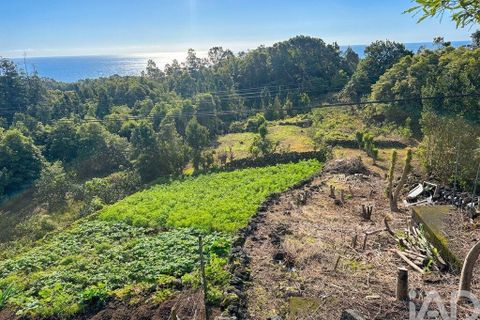 Byhus i Lajes do Pico, Pico, Lajes do Pico - € 210.000 | Ref: 791597 - foto 3