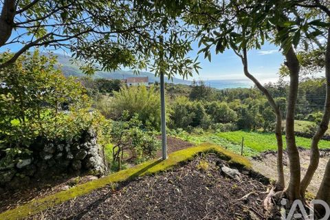 Byhus i Lajes do Pico, Pico, Lajes do Pico - € 210.000 | Ref: 791597 - foto 4