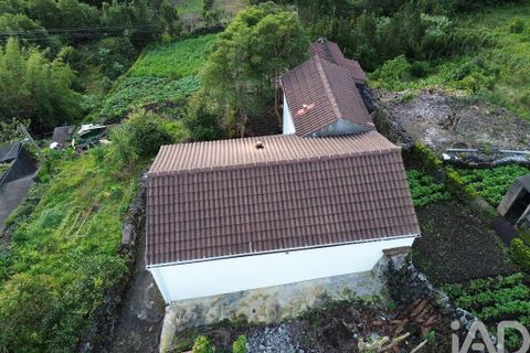 Byhus i Lajes do Pico, Pico, Lajes do Pico - € 210.000 | Ref: 791597 - foto 23