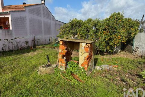 Tomt i Almeirim, Santarem, Almeirim - € 85 000 | Ref: 810574 - foto 7