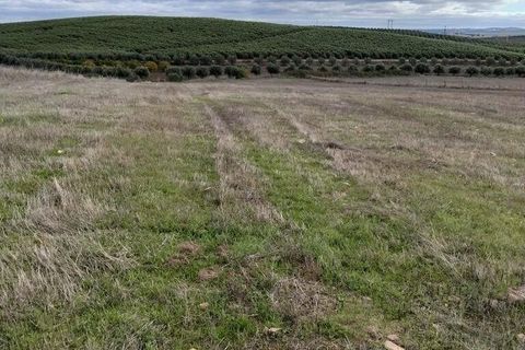 Helårsgrund i Beja, Beja, Beja - € 27.500 | Ref: 773259 - foto 4
