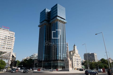 Leilighet i Madrid, Madrid, Madrid - € 890 000 | Ref: MAD66551 - foto 17