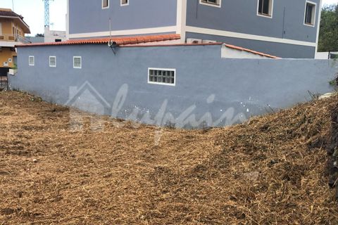 Helårsgrund i El Tanque, Tenerife, El Tanque - € 145.000 | Ref: LP8118 - foto 10