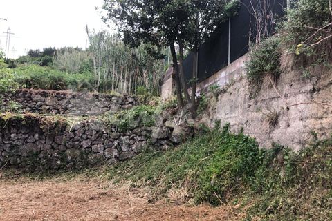 Helårsgrund i El Tanque, Tenerife, El Tanque - € 145.000 | Ref: LP8118 - foto 19