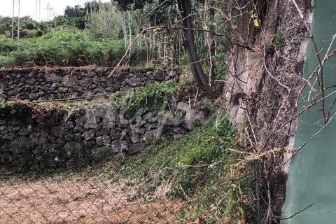 Helårsgrund i El Tanque, Tenerife, El Tanque - € 145.000 | Ref: LP8118 - foto 20