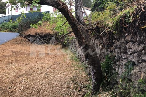 Helårsgrund i El Tanque, Tenerife, El Tanque - € 145.000 | Ref: LP8118 - foto 25
