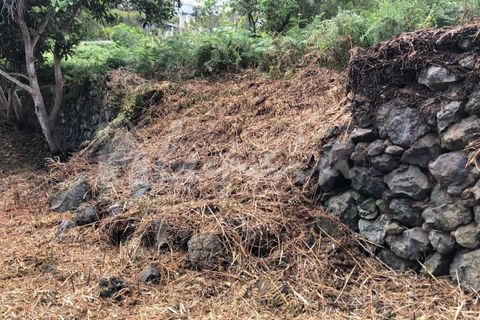 Helårsgrund i El Tanque, Tenerife, El Tanque - € 145.000 | Ref: LP8118 - foto 27