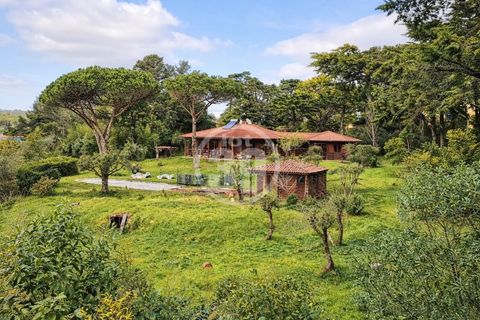 Farm i Sintra, Lisbon, Sintra - € 1.490.000 | Ref: V5-009(2) - foto 1