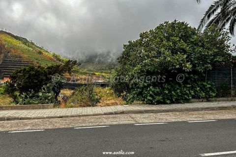 Terra a El Palmar, Tenerife, El Palmar - € 68.000 | Ref: AAEP1876 - foto 6