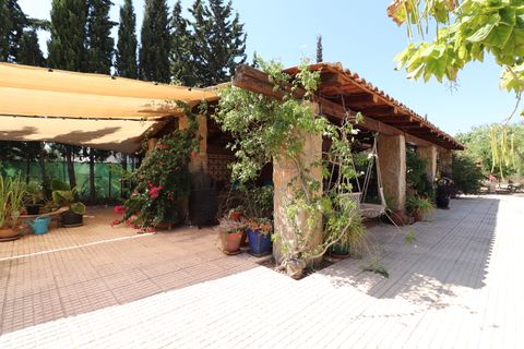 Landejendom i Catral, Alicante, Catral - € 975.000 | Ref: VRE 5363 - foto 35