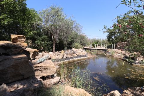 Landejendom i Catral, Alicante, Catral - € 975.000 | Ref: VRE 5363 - foto 41