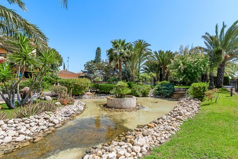 Landejendom i Elche, Alicante, Elche - € 1.165.000 | Ref: CBB-13861 - foto 18