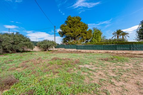 Landejendom i Elche, Alicante, Elche - € 370.000 | Ref: CBB-24155 - foto 39