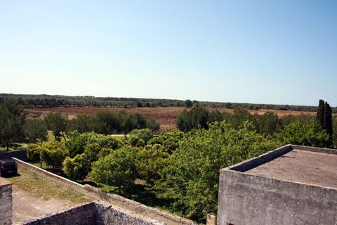 Landejendom i Melendugno, Lecce, Melendugno - € 1.000.000 | Ref: MS002 - foto 14