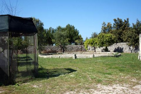 Landejendom i Melendugno, Lecce, Melendugno - € 1.000.000 | Ref: MS002 - foto 21