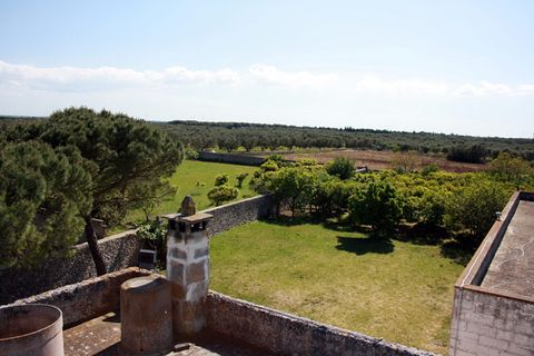 Landejendom i Melendugno, Lecce, Melendugno - € 1.000.000 | Ref: MS002 - foto 15