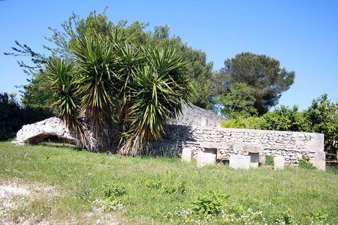 Landejendom i Melendugno, Lecce, Melendugno - € 1.000.000 | Ref: MS002 - foto 19