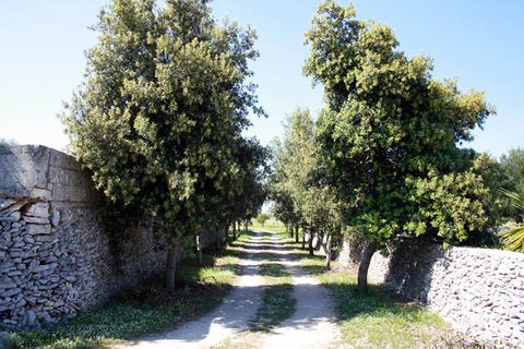 Landejendom i Melendugno, Lecce, Melendugno - € 1.000.000 | Ref: MS002 - foto 22