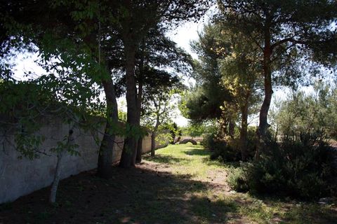 Landejendom i Melendugno, Lecce, Melendugno - € 1.000.000 | Ref: MS002 - foto 20