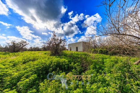 Helårsgrund i Alezio, Lecce, Alezio - € 90.000 | Ref: ALIL-90 - foto 4