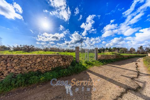 Helårsgrund i Alezio, Lecce, Alezio - € 90.000 | Ref: ALIL-90 - foto 6