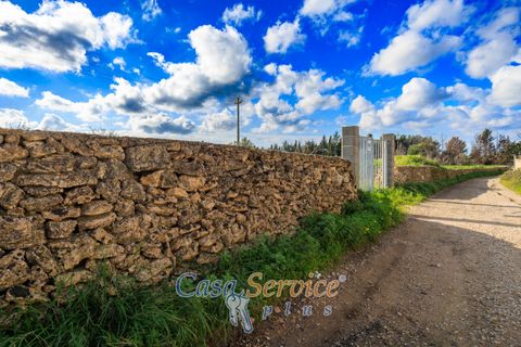 Helårsgrund i Alezio, Lecce, Alezio - € 90.000 | Ref: ALIL-90 - foto 8