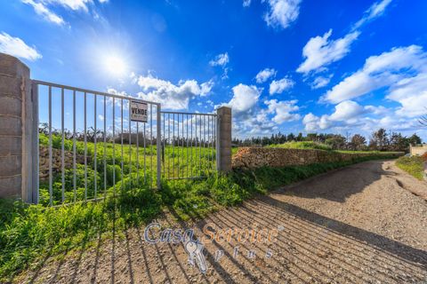 Helårsgrund i Alezio, Lecce, Alezio - € 90.000 | Ref: ALIL-90 - foto 10