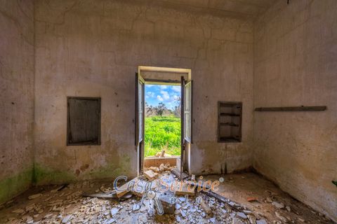 Helårsgrund i Alezio, Lecce, Alezio - € 90.000 | Ref: ALIL-90 - foto 17
