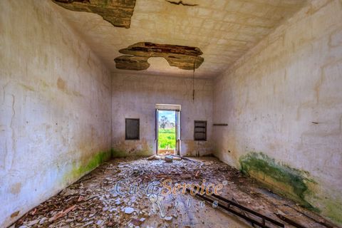 Helårsgrund i Alezio, Lecce, Alezio - € 90.000 | Ref: ALIL-90 - foto 18