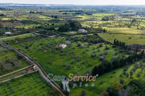 Helårsgrund i Alezio, Lecce, Alezio - € 90.000 | Ref: ALIL-90 - foto 22