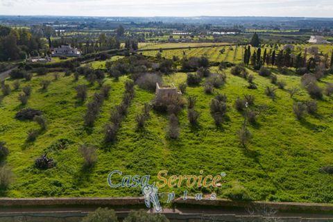 Helårsgrund i Alezio, Lecce, Alezio - € 90.000 | Ref: ALIL-90 - foto 23