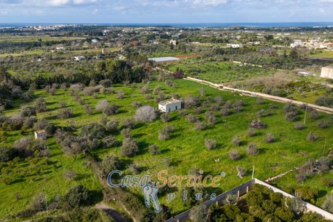 Helårsgrund i Alezio, Lecce, Alezio - € 90.000 | Ref: ALIL-90 - foto 24
