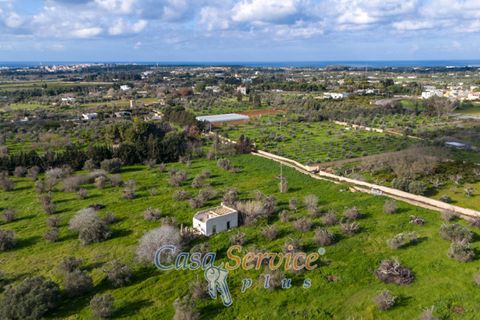 Helårsgrund i Alezio, Lecce, Alezio - € 90.000 | Ref: ALIL-90 - foto 25