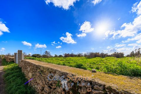 Helårsgrund i Alezio, Lecce, Alezio - € 90.000 | Ref: ALIL-90 - foto 26