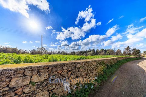 Helårsgrund i Alezio, Lecce, Alezio - € 90.000 | Ref: ALIL-90 - foto 27