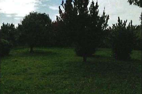 Villa a Verona, Verona, Verona - € 829.265 | Ref: GB00000000 - foto 49