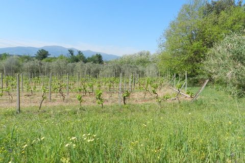 Villa a Montecarlo, Lucca, Montecarlo - € 1.000.000 | Ref: IA02907 - foto 20