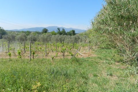 Villa a Montecarlo, Lucca, Montecarlo - € 1.000.000 | Ref: IA02907 - foto 22