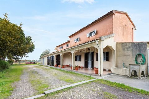 Tomt i Benavente, Santarem, Benavente - € 485 000 | Ref: 261260009 - foto 14