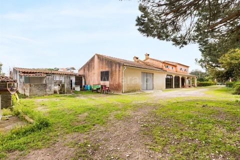 Tomt i Benavente, Santarem, Benavente - € 485 000 | Ref: 261260009 - foto 15