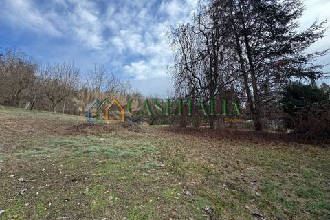 Villa a Montafia, Asti, Montafia - € 140.000 | Ref: Villanovadasti - foto 31