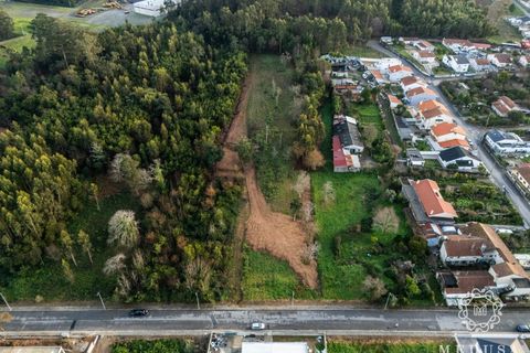 Terra a Serzedo, Porto, Serzedo - € 215.000 | Ref: SÒL_752 - foto 4