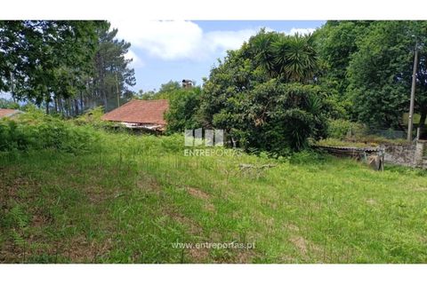 Terra a Areosa, Viana do Castelo, Areosa - € 59.000 | Ref: VCM14429 - foto 3