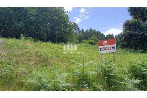 Terra a Areosa, Viana do Castelo, Areosa - € 59.000 | Ref: VCM14429 - foto 4