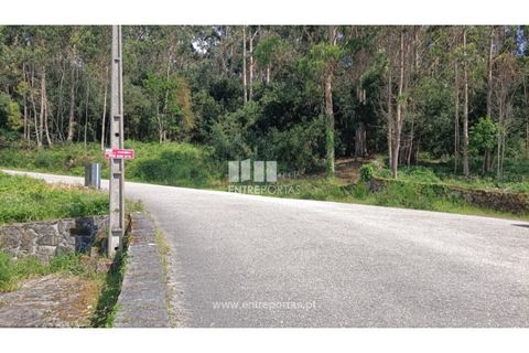 Terra a Areosa, Viana do Castelo, Areosa - € 59.000 | Ref: VCM14429 - foto 9