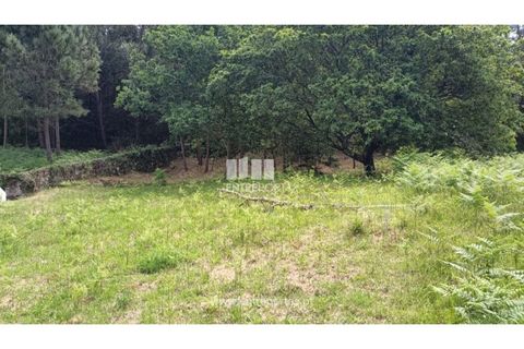 Terra a Areosa, Viana do Castelo, Areosa - € 59.000 | Ref: VCM14429 - foto 10