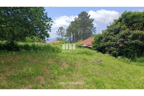 Terra a Areosa, Viana do Castelo, Areosa - € 59.000 | Ref: VCM14429 - foto 18