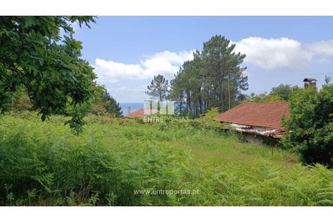 Terra a Areosa, Viana do Castelo, Areosa - € 59.000 | Ref: VCM14429 - foto 21